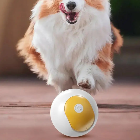 S44f92020947e4fdba47a4a183023f7853