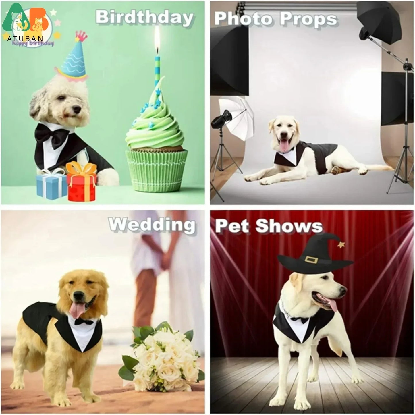 S5c246144d88548fbb71f8d46ede5caa2I