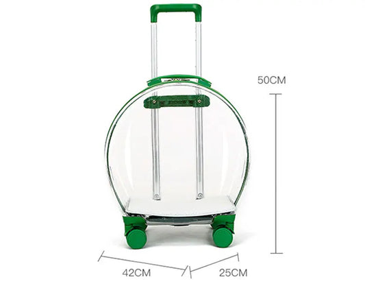 Sa55807311f3a4f7e986dd96b70f885e2g