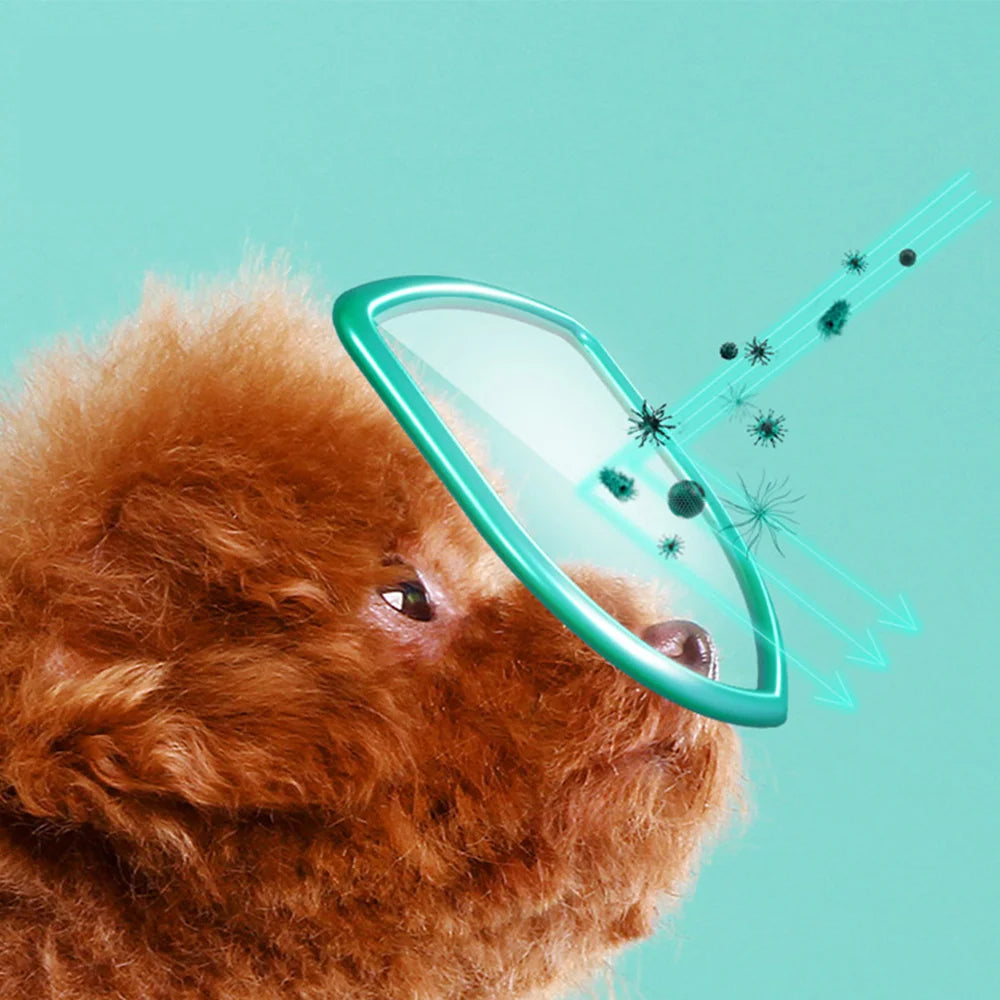 Sda2b07d76bb3436eb749006c0074165eq