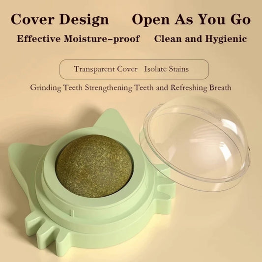 Se9b4a833e2d4400a8959aadce7ade99c7