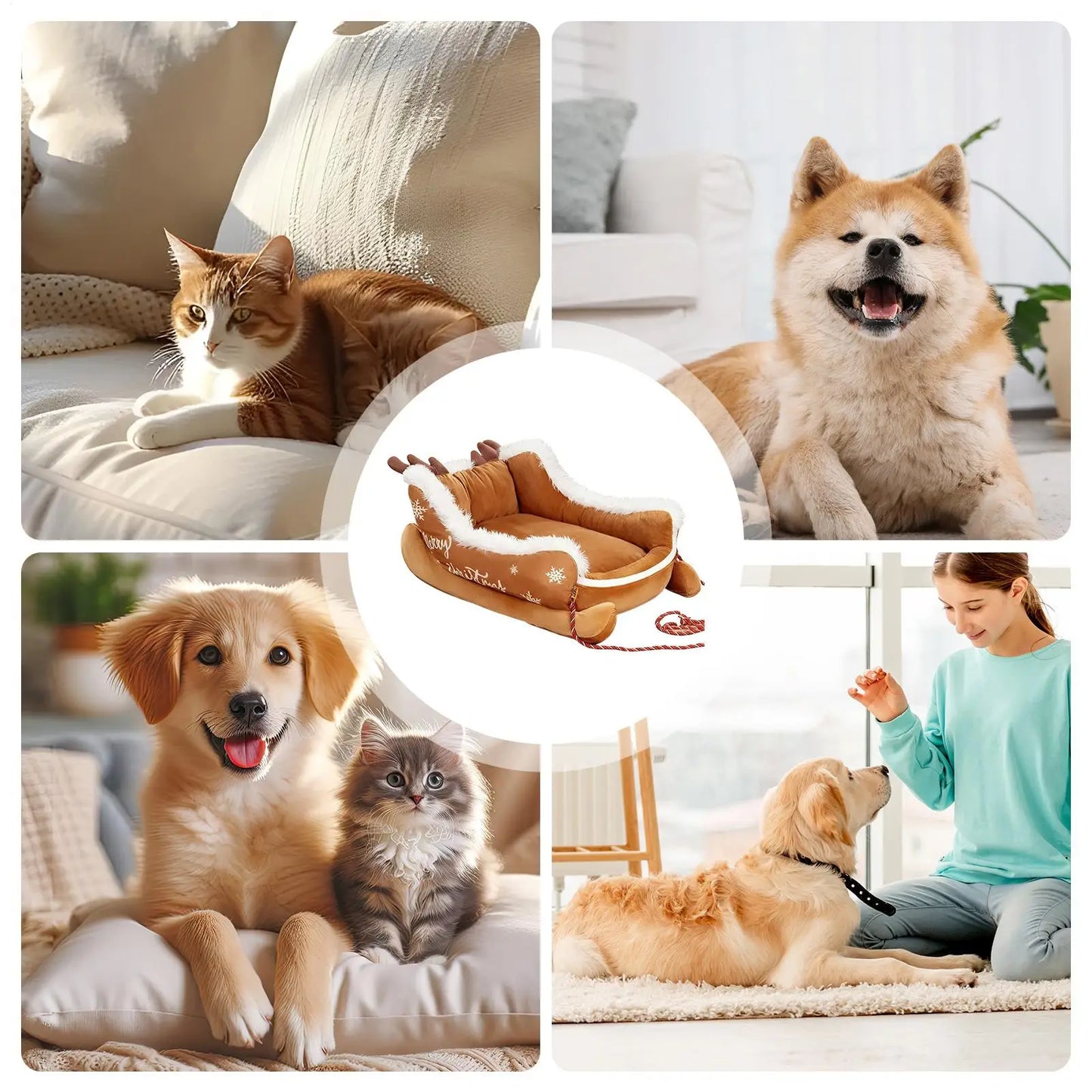 Se9e9529db1814b07867b9eaea7fe9637Z