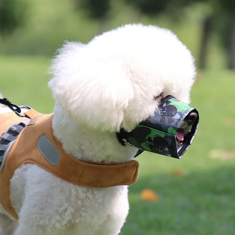 H0c3723fde32044d0a53b1846e259b12dc