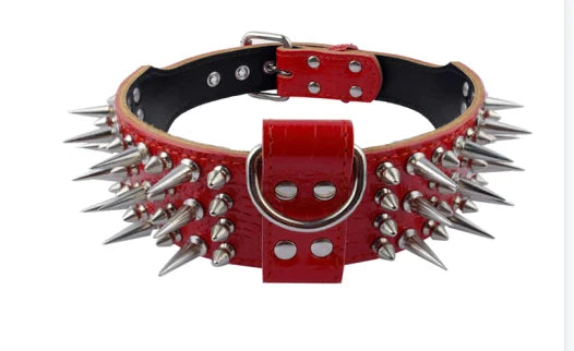 H0d8e06a8662a4aaeb02a61878bb656e24