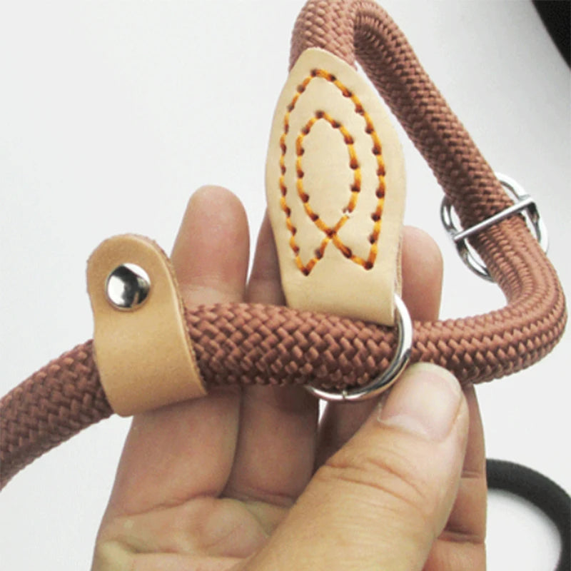 HTB1oEJHKSzqK1RjSZFHq6z3CpXab