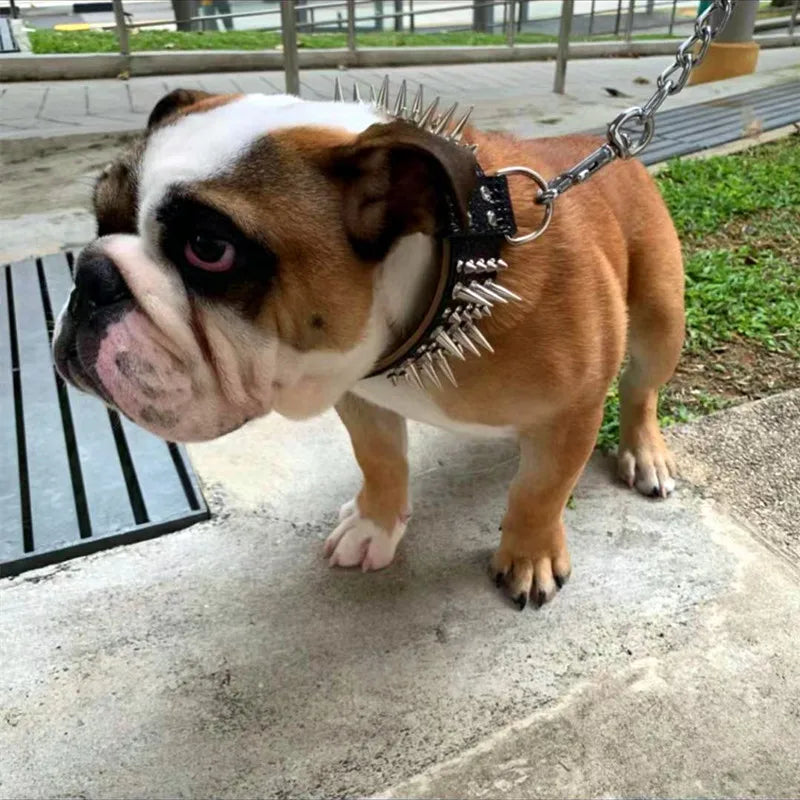 Hd6ce1c20fa1c4435ab0b309c47f702c8q