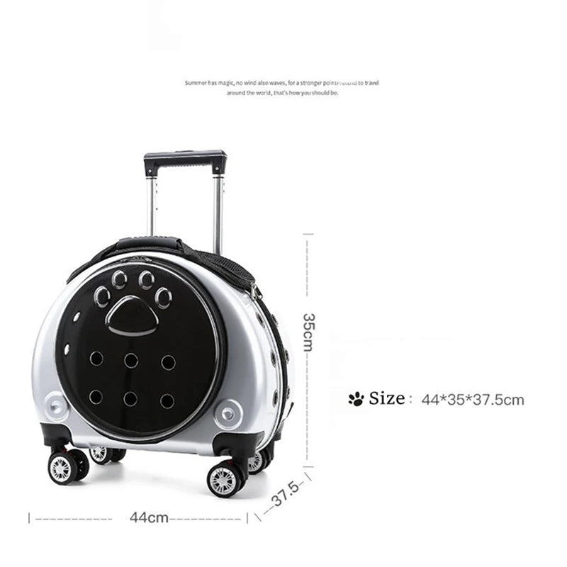 S0c9d7ce1422145bcaa161e221b0b57bcp