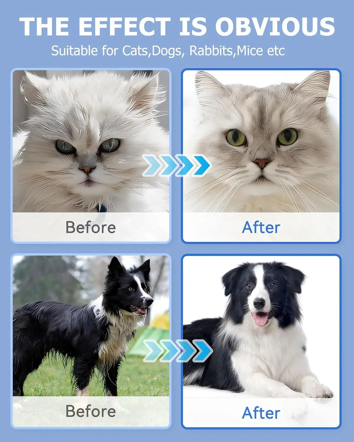 S1088a312e31d486187e7739d4b8143e5r