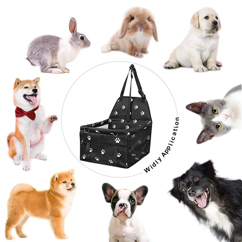 S152b3816306944ba88126b1dec999cadZ