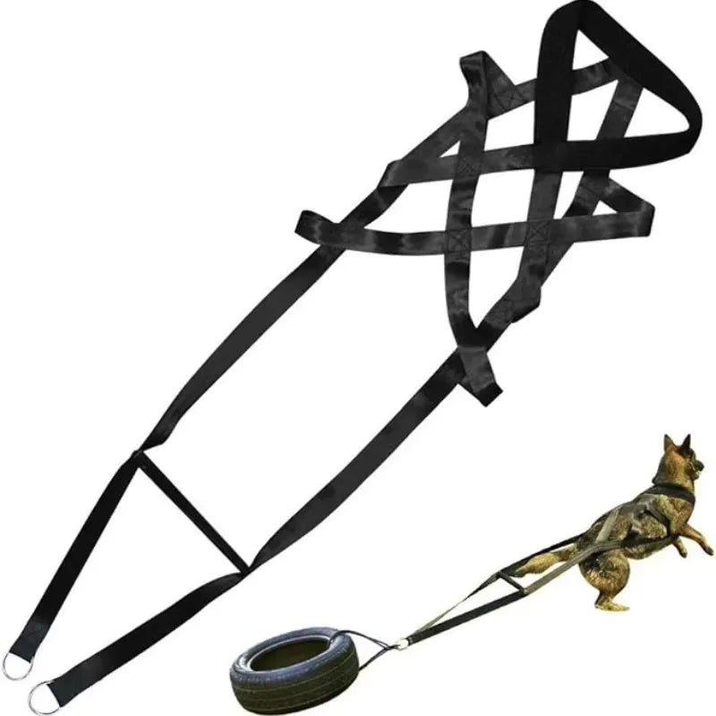 S27fdb2ef5c5d4a0ba2635ff669720f1fO