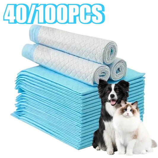 S2bee2d875c6a4dd293675cbc3b52ac8eW