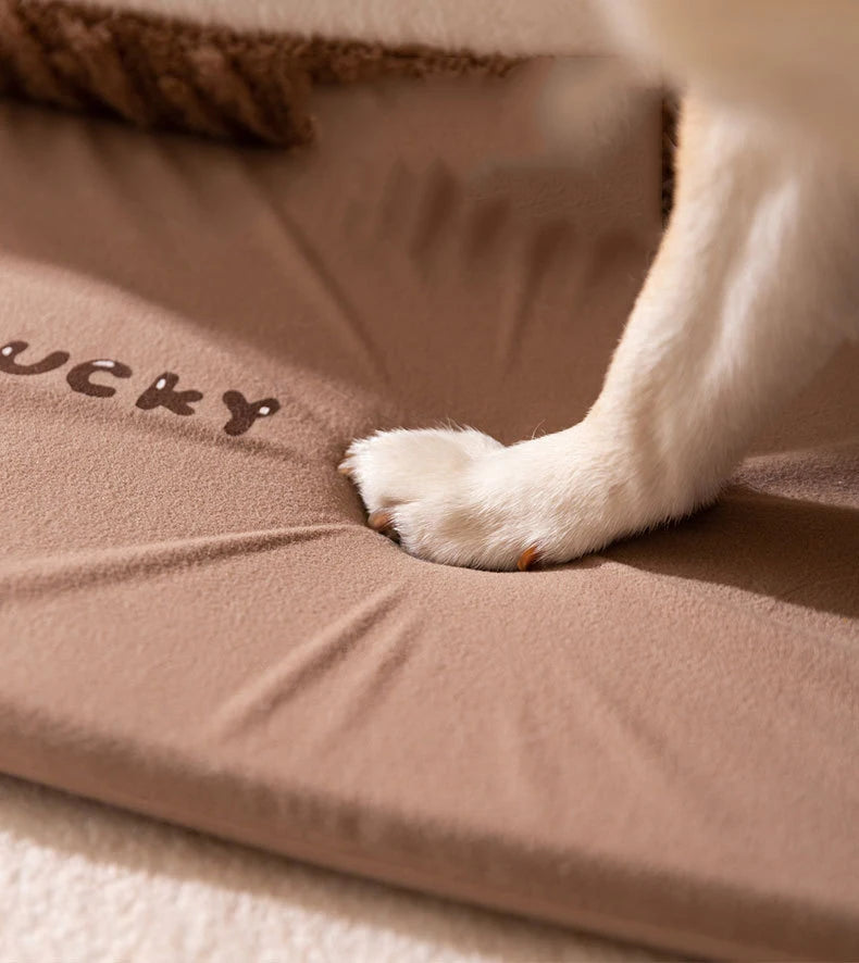 S346192254dbf4c4f863160cc2246414cG