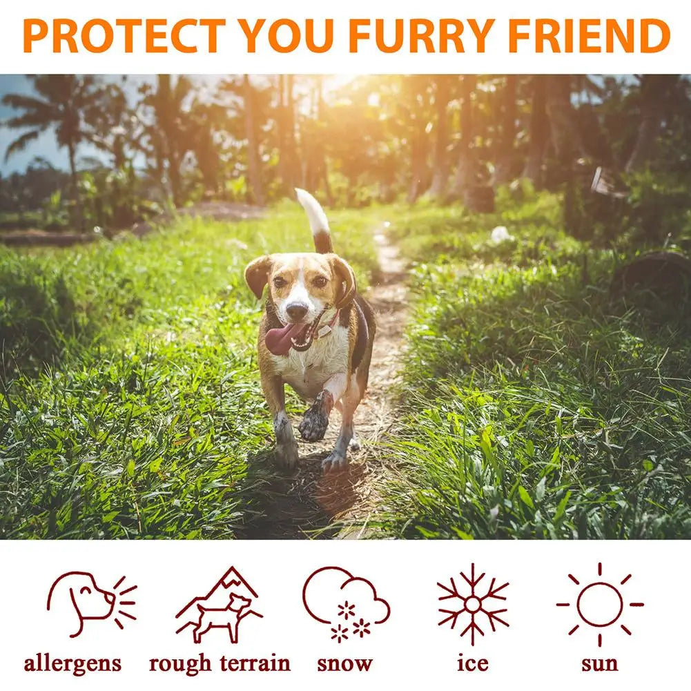 S3f21d269495244008380001d465e9655g