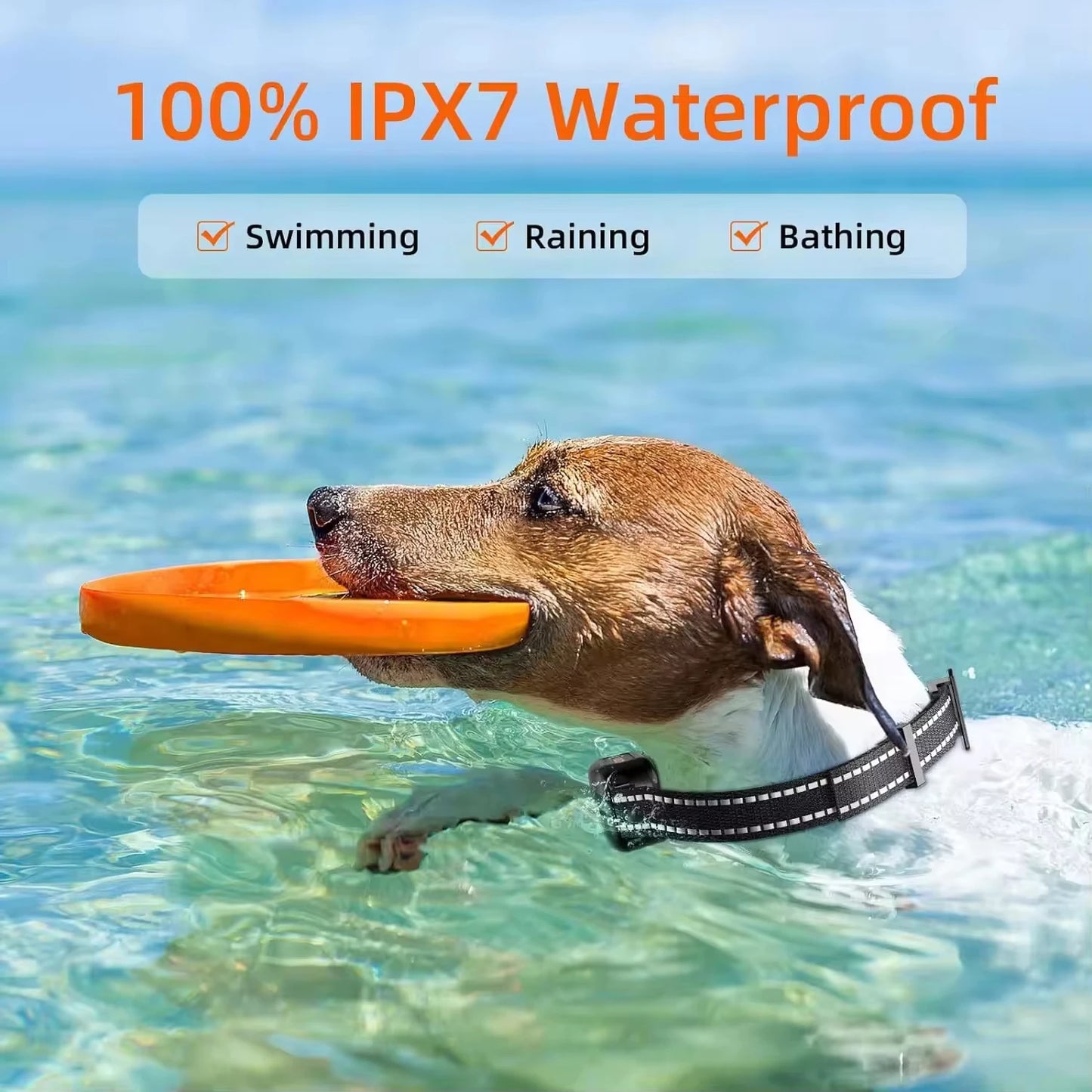 S41cc0833a6454edfa1cbbec733cca8edS