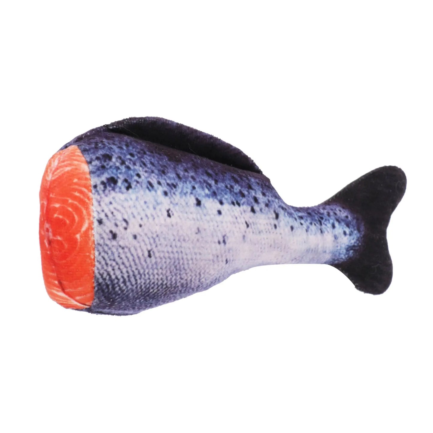 S448b367a1a7543b3bfd4bd02c3ebff25W