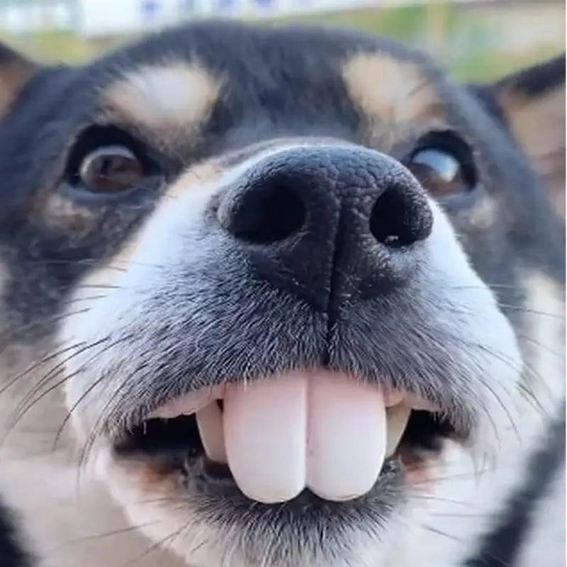 S4f12fc756659448889c930d3da104391L