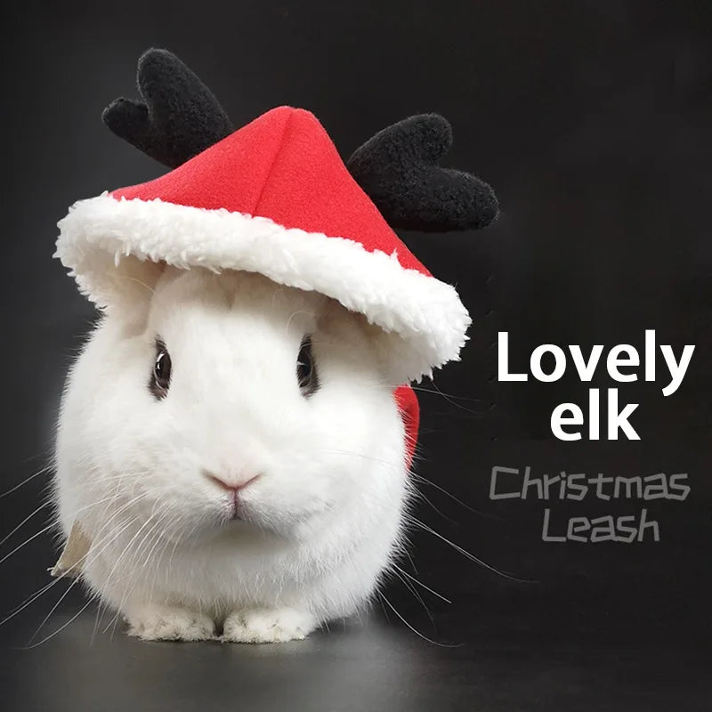 S501de844f95d42f48e78620c3939ee8fI