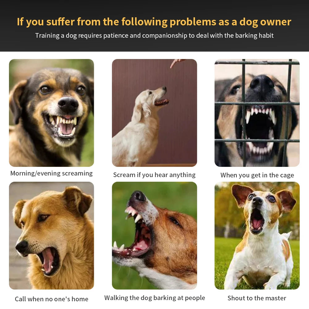 S5189b8d908654f9fb20cb38ef6055aa3N