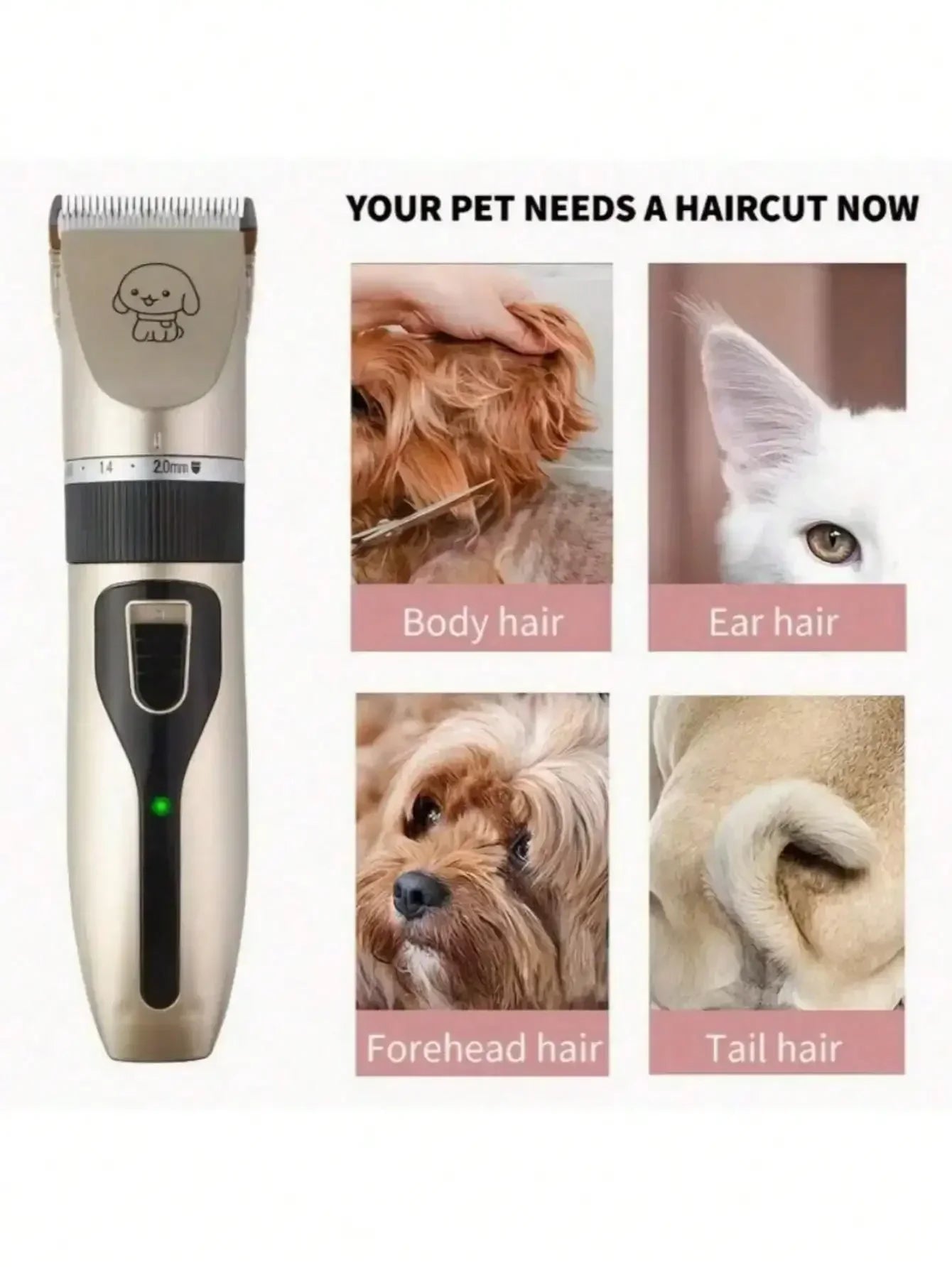 S54b2d1782d4c412aa10c140092f9723dB