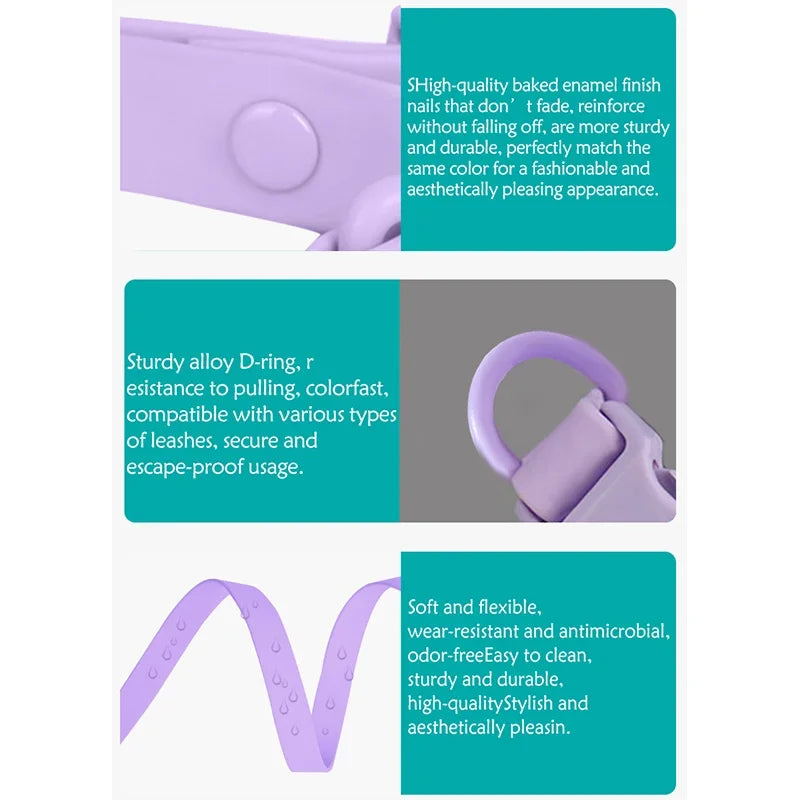 S5df265aa67f442daa62c5c9a8c46a776k