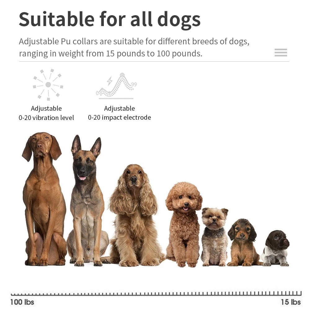 S646f63f462134c6989a48bf6b6eba2d5Z