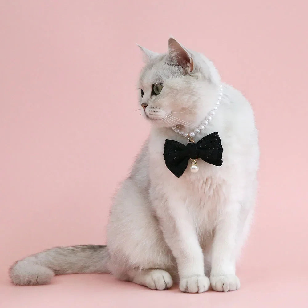 S64e34f267916491dac37b316a971b371d