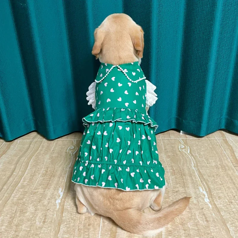 S69e061a18405447eb17231834c8545311