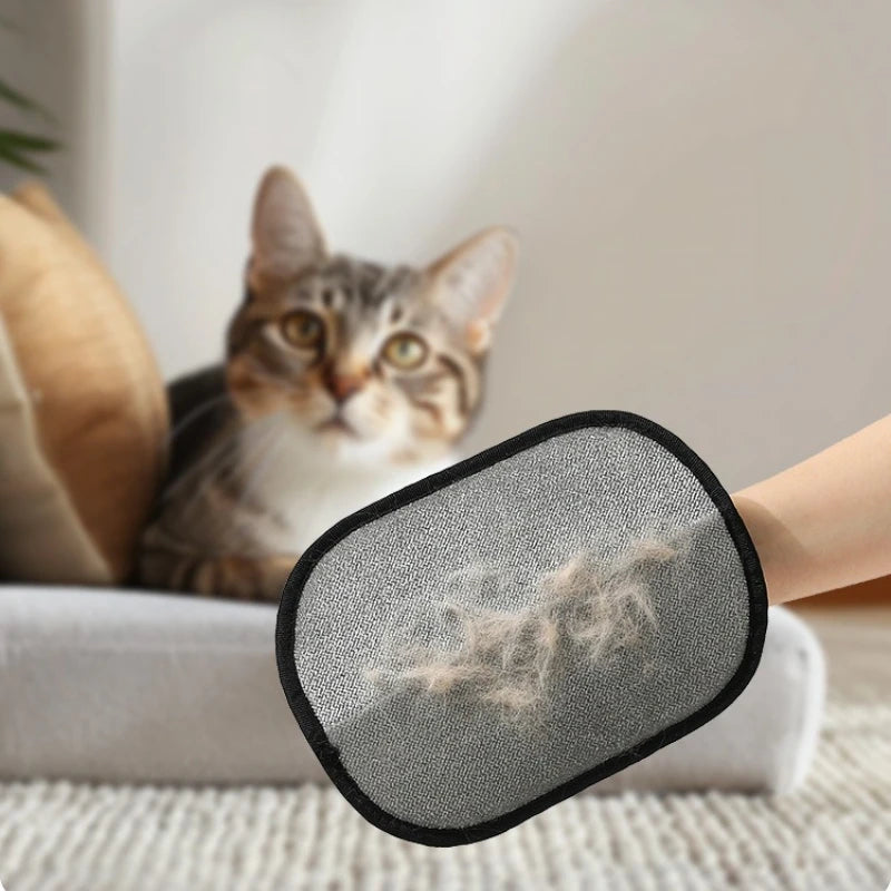 S6a75e6a446434dcbb58cdcc3e6213a0aC