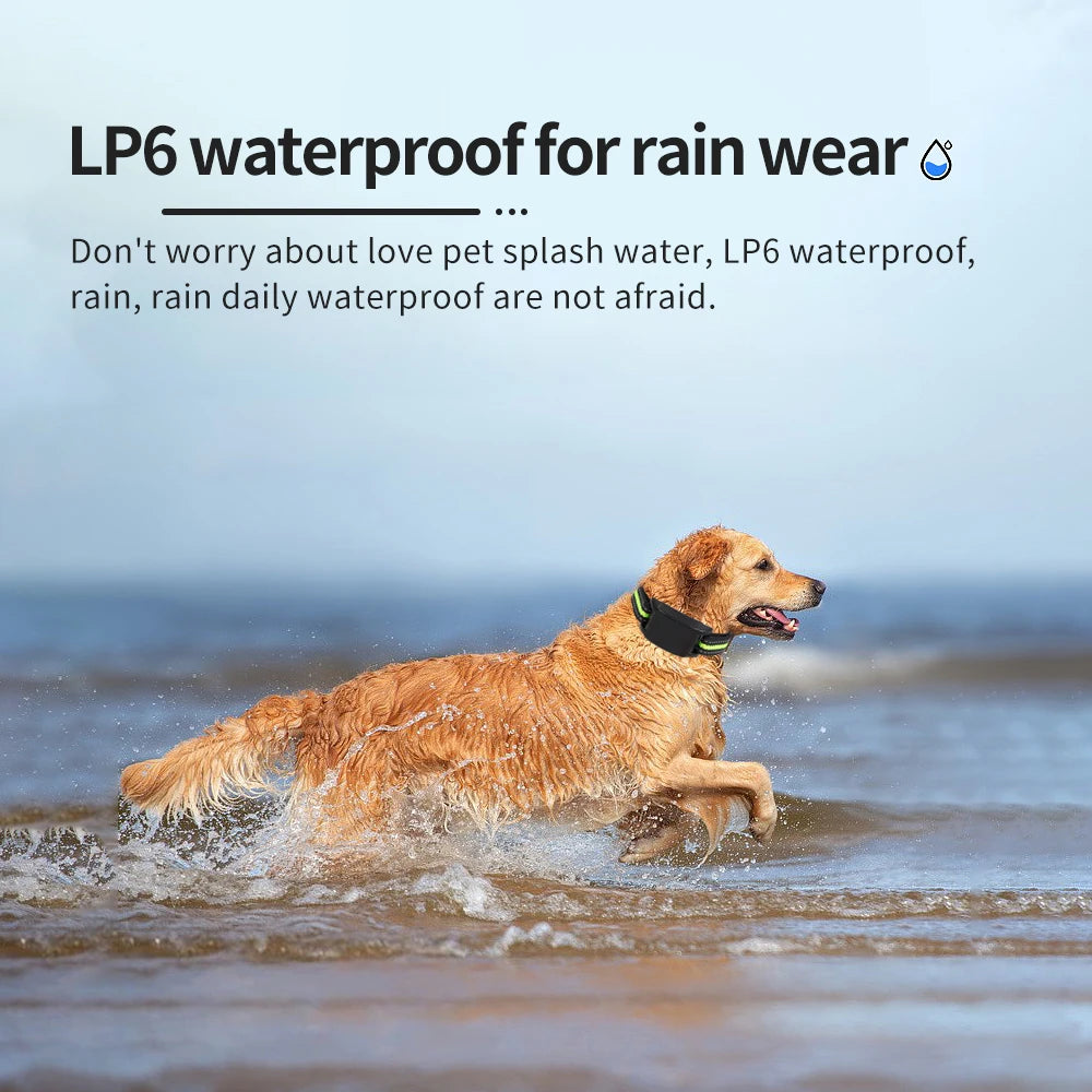 S711bd105e3944e0dbc6b69c40aa4d02fN