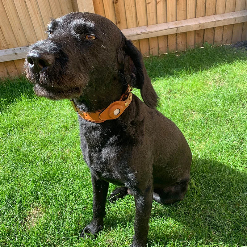 S7249e331c1634146834c88a5261970b0P