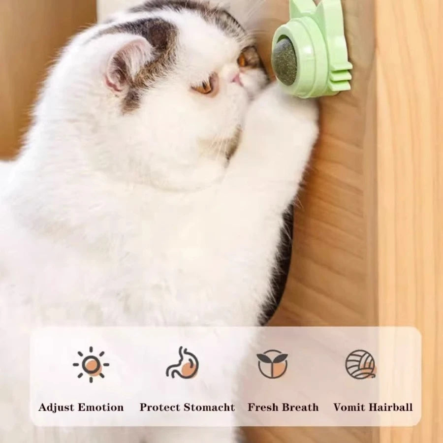 S7456c3d121c141ad9066f652c83a70134