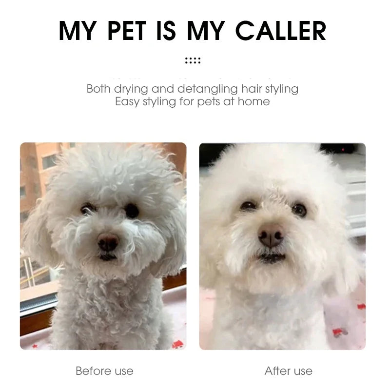 S748a2a2413c34a19962faf2a5ce2971ez