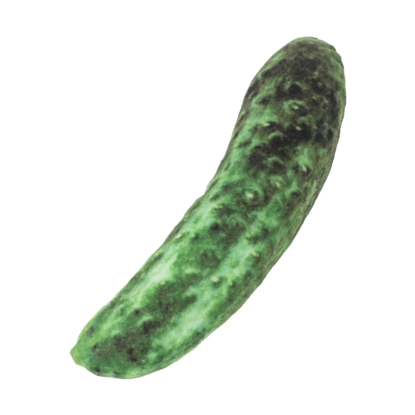 S7d4e5b8adff94c7d8a888509d548409eP