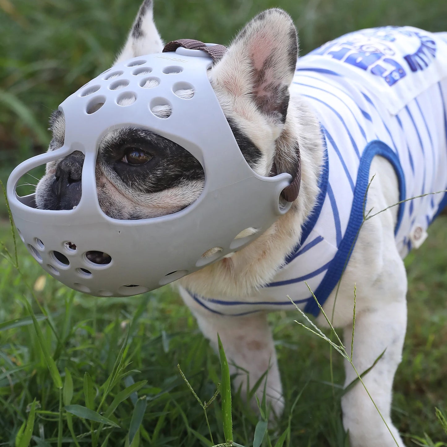 S7f7aebb5ff6147278685146d9d80fd70S