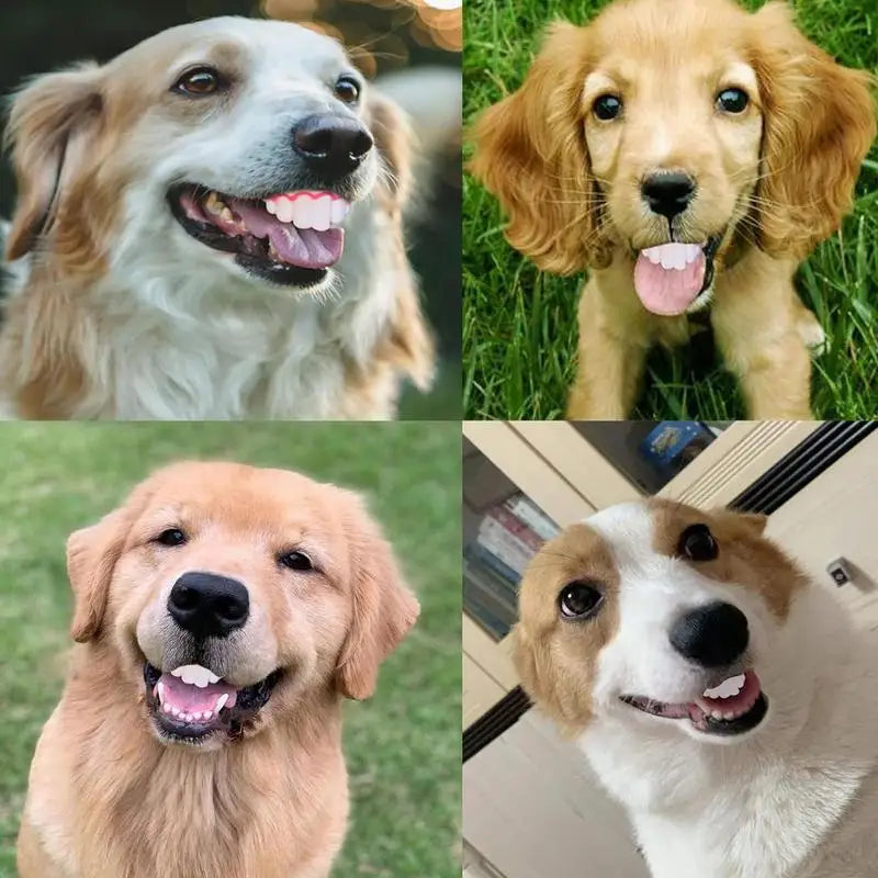 S87d0e012094944f69c164db7b63a45de2