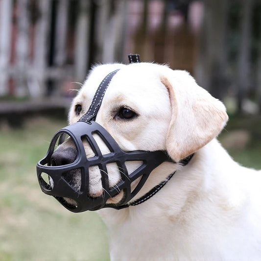 S88767a436c9c434aab69713abe10693cO