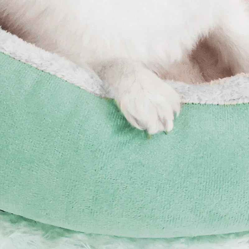 S8bef04e0298f4c519eeecda00f904beau