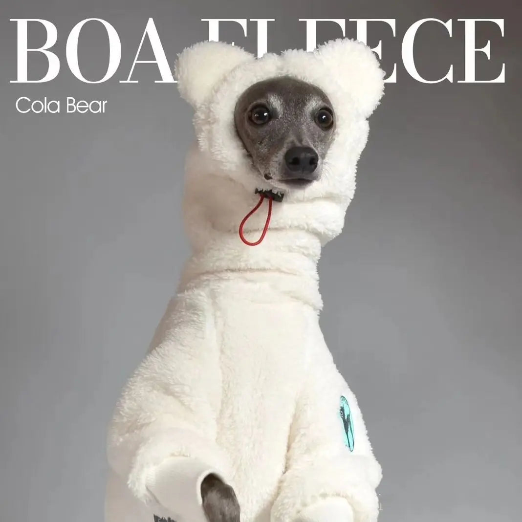 S8fbab22b03d34988bbd3d99b89847d68K