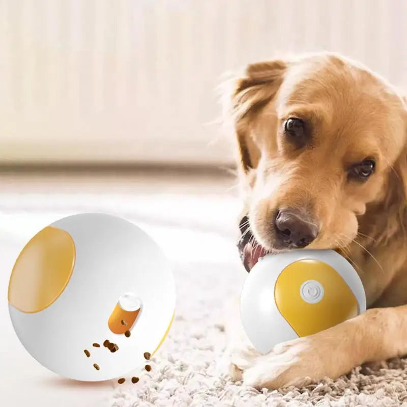 S93dff90367ad4503b8e4fae5964ba7f38