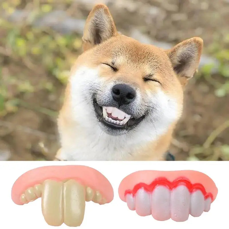 S99de232ca58c49b19bf10e14fda52fc0Y