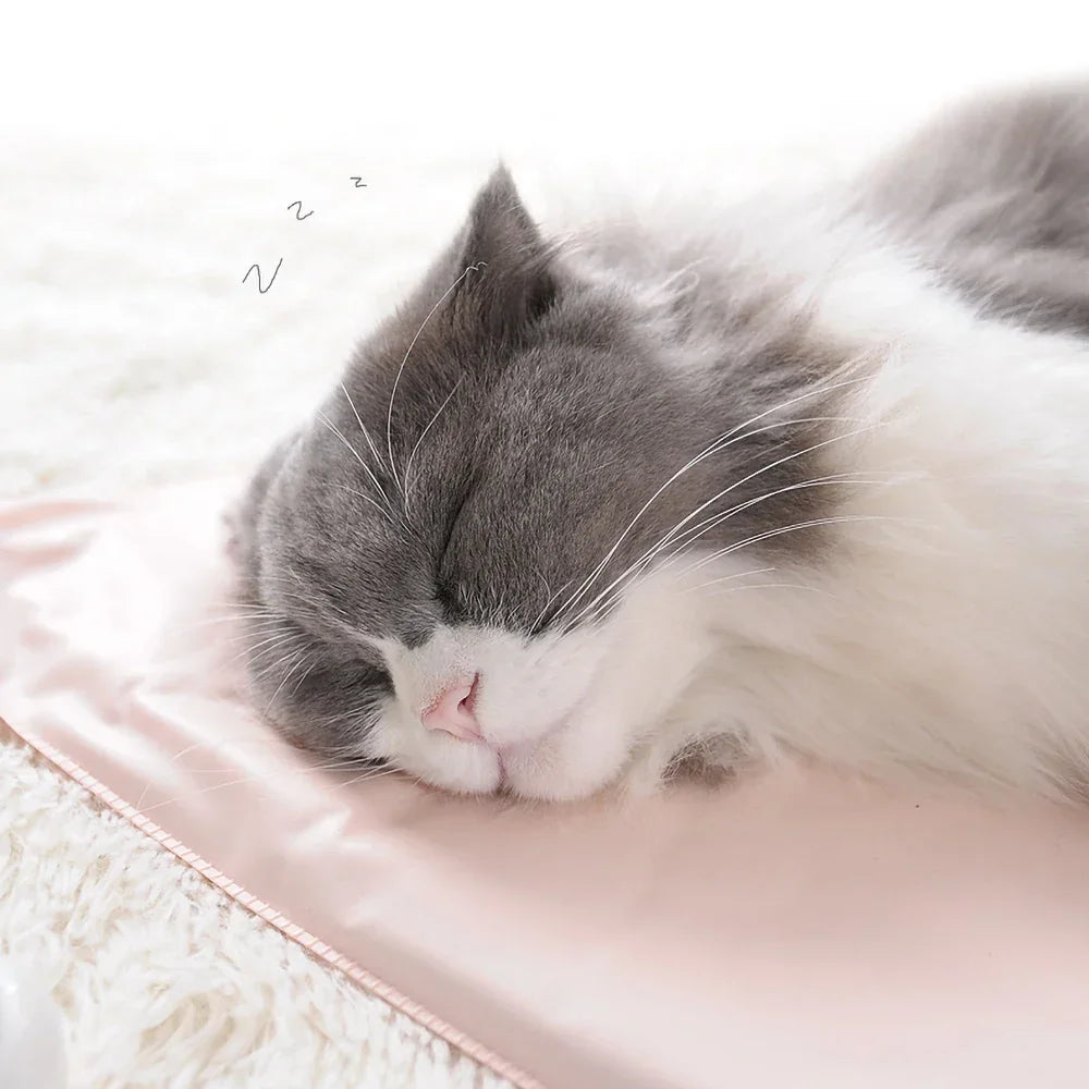 S9f9a0e3e0da841cea8d28f062f0e35cap