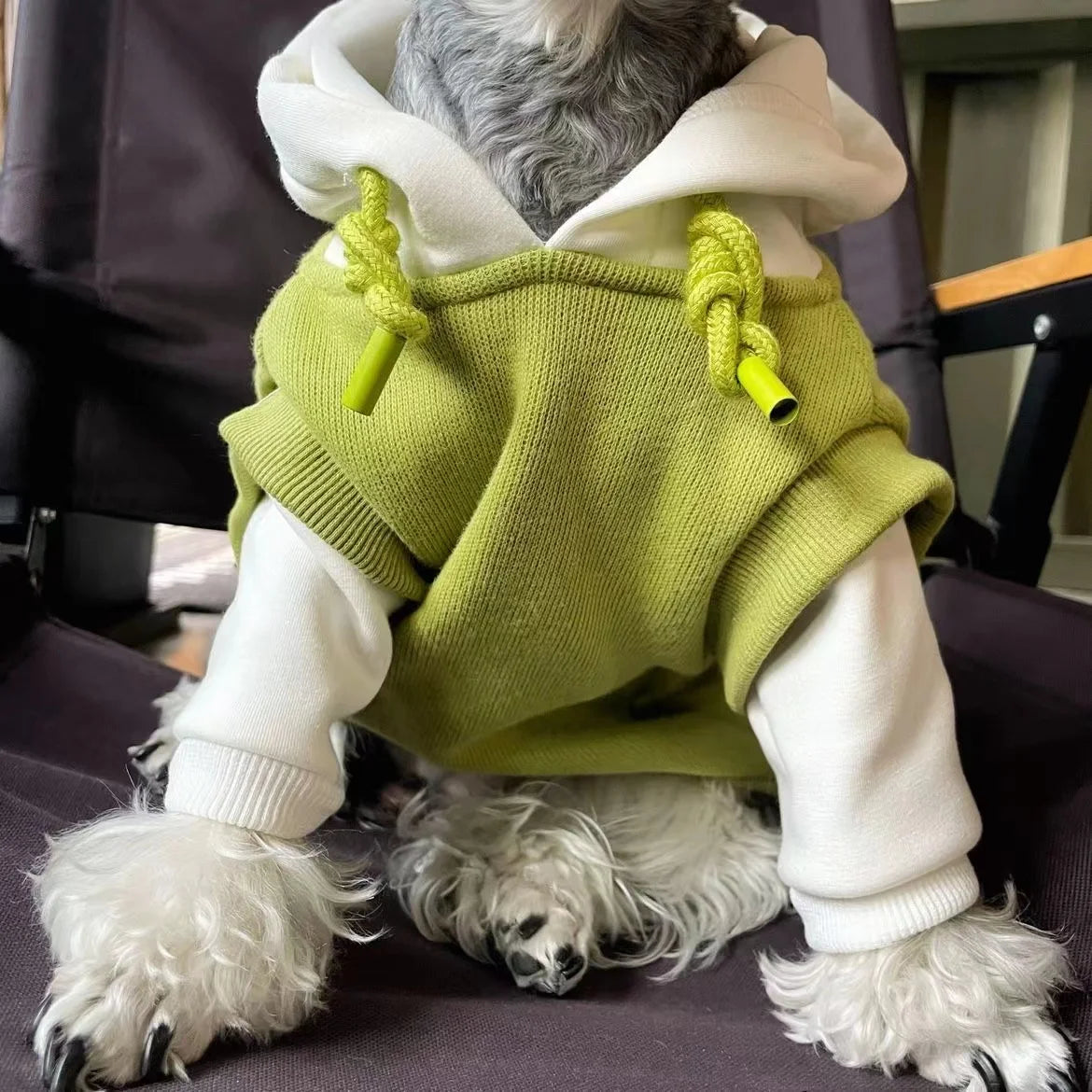 Sa0aa58c7a4124c05a2c9195dbf284778z