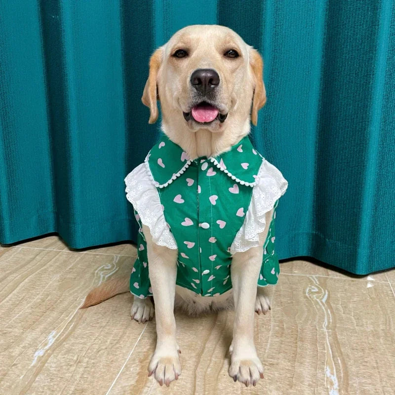 Sa5ee5f1a44a04946b1cec2aed3a287cci