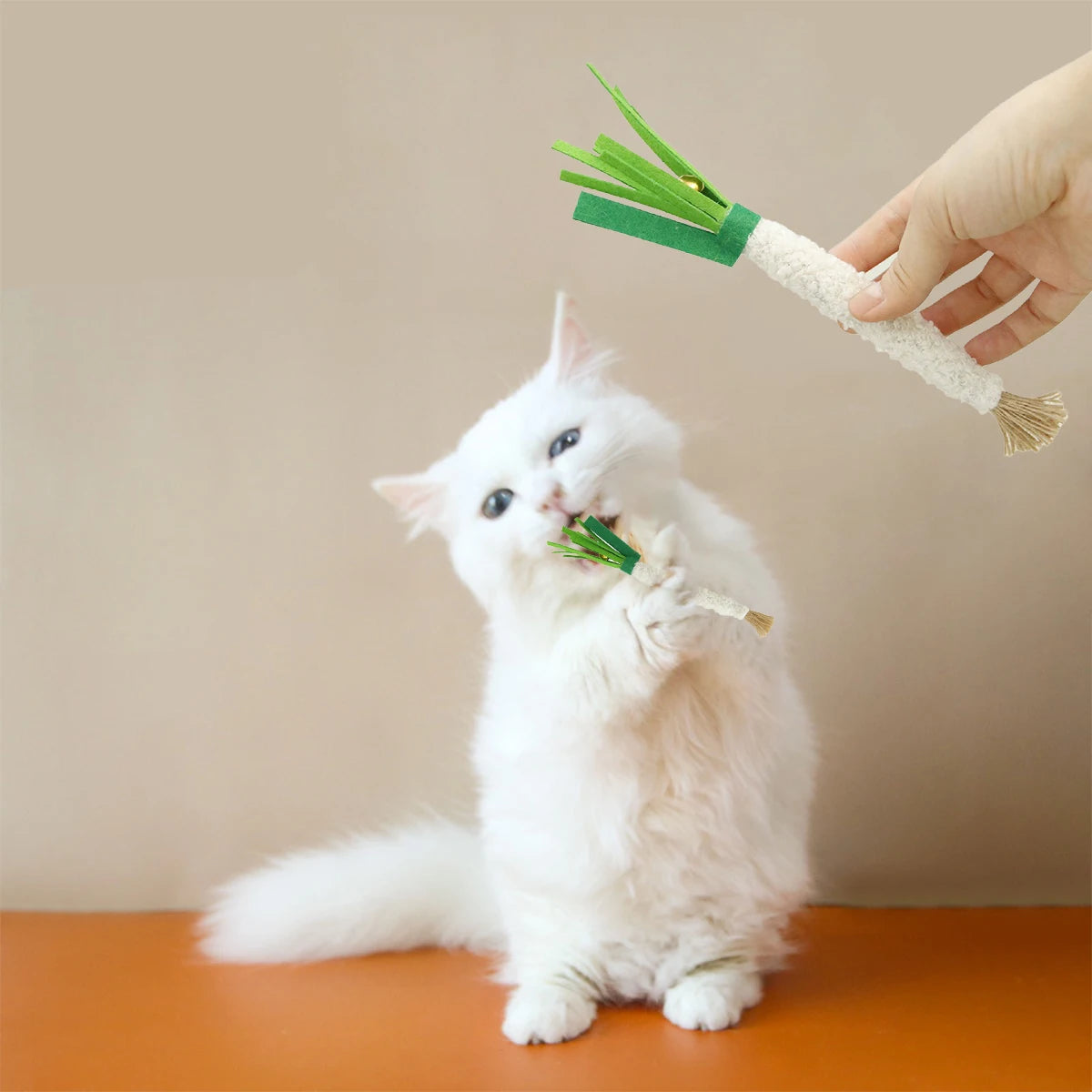 Sa950c76591784a2db9df1a8ed76c04960