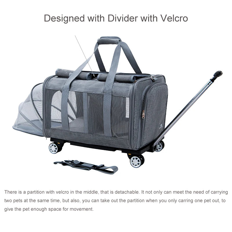 Sb0ead818210044e4a706e77e702cdde2F