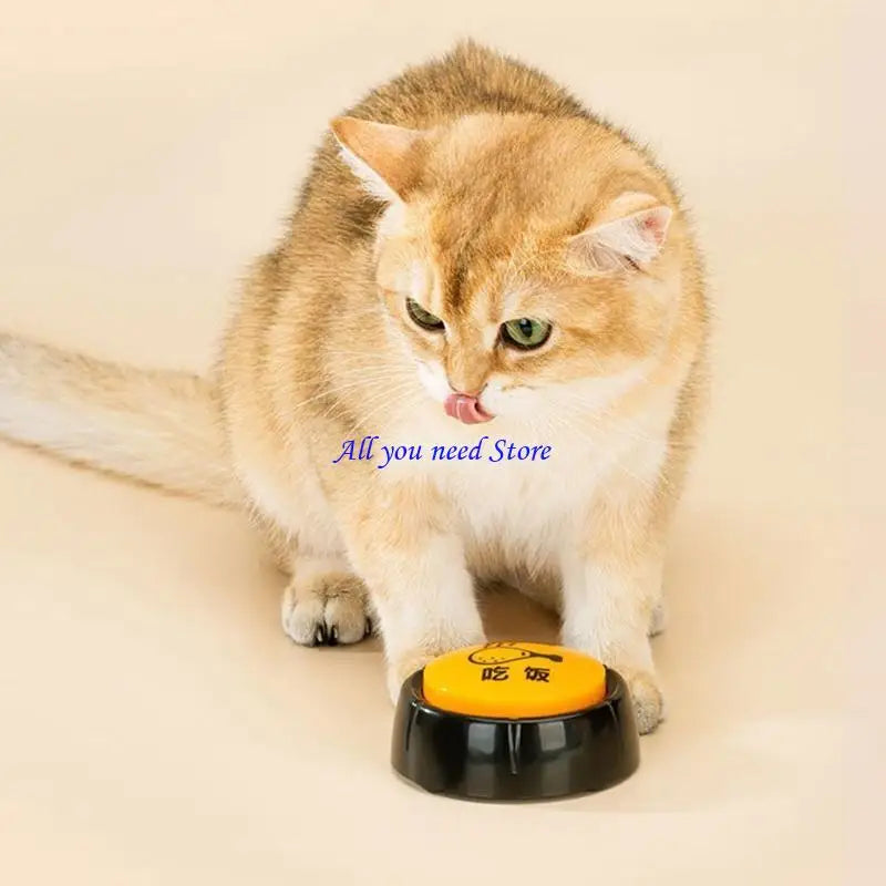 Sb49ed017e497479286177c9523ff13b5s