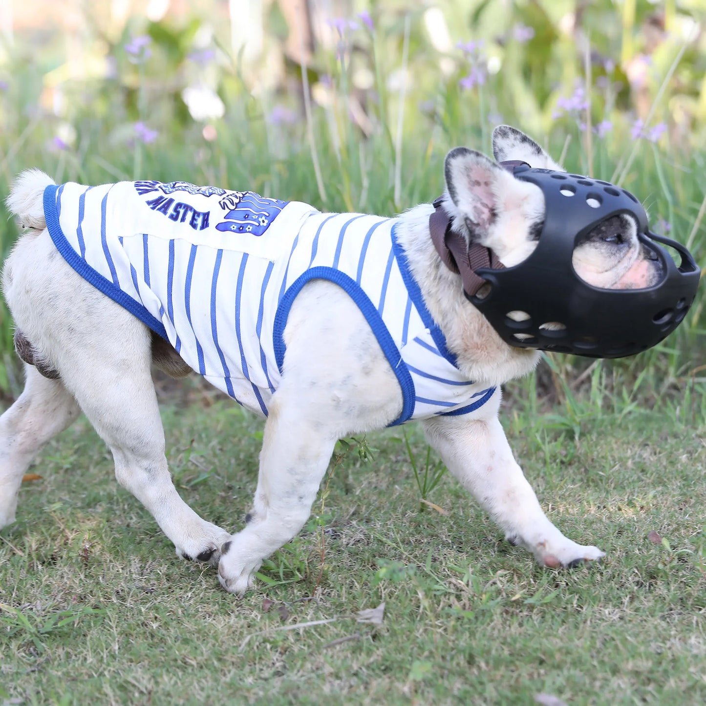 Sb5f343d1a7c04747b8388782ed4cf615T