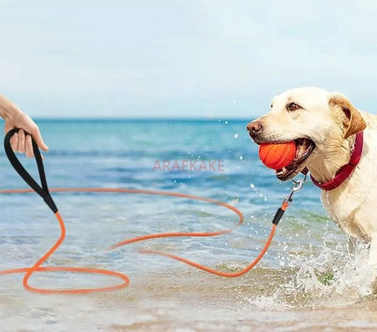 Sbb1965690d0c44ae8de435b275f93021M