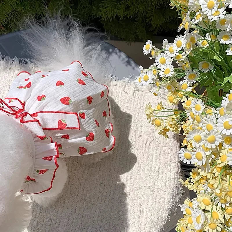 Sbce57ec3ee6249c688be8562d3ec593cI