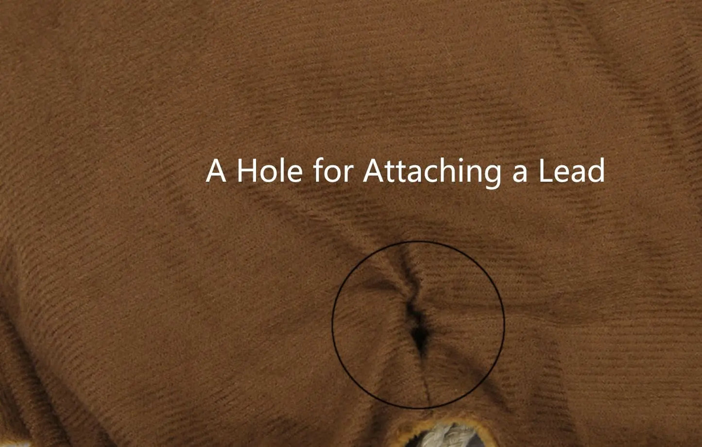 Sc12959ba4e1f4769bd325ca69df06ff9a